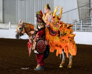 elaborate horse costume