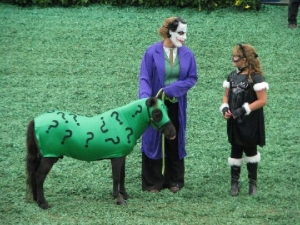 horse in riddler costume