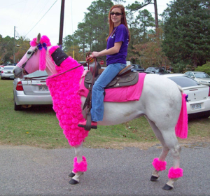 horse in hot pink poodle costume