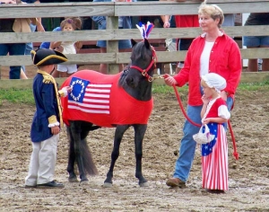 horse in costume