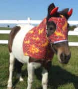 devil horse costume