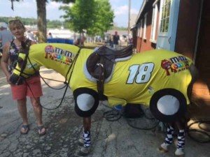horse costume race car 4