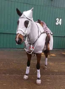 horse costumes - tinman