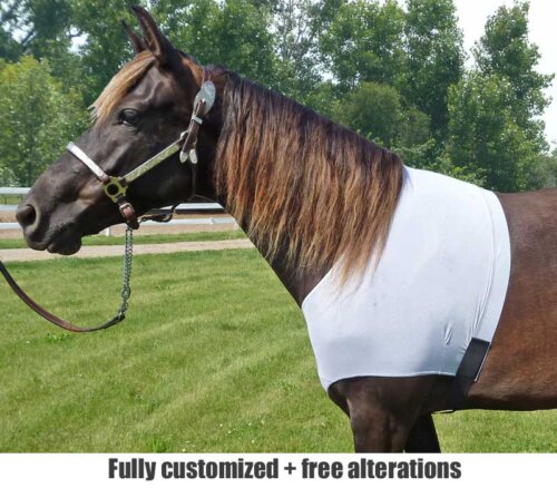 horse shoulder guard shown in white mesh for under fly sheets