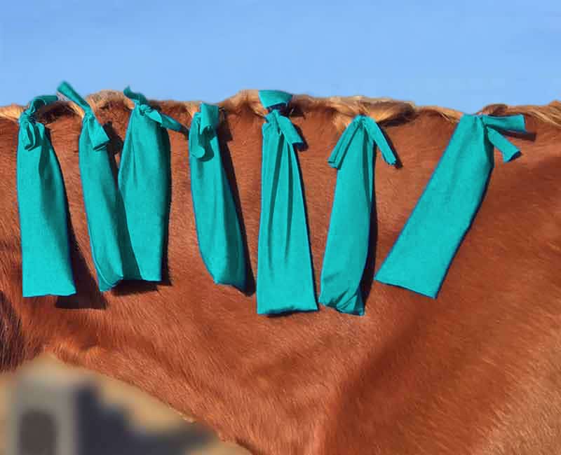 Punky Bags - Custom Equine Mane and Tail bags
