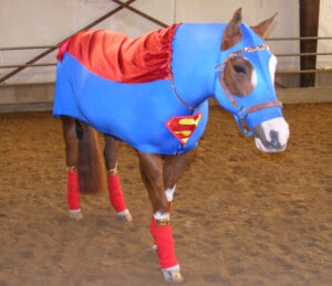 hose in superman costume