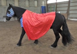 horse wearing super hero costume