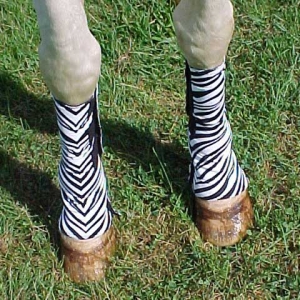 horse fast leg wraps - quick open and close- shown in zebra print