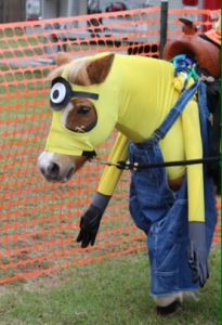 horse costumes minion