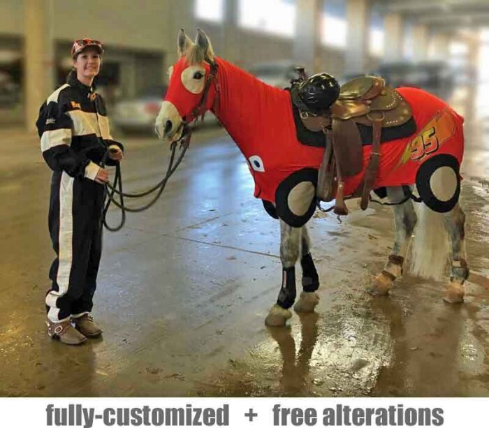 costumes for horses race car