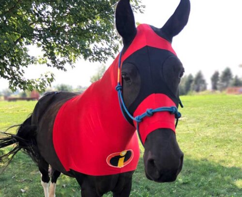 halloween costumes for horses the incredibles