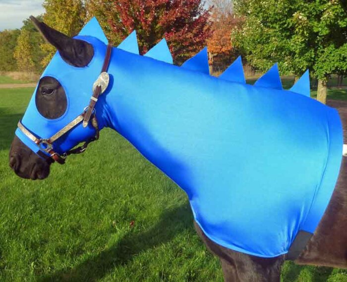 dragon costume for horses