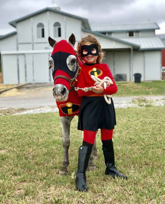 Halloween costumes for horses Incredibles