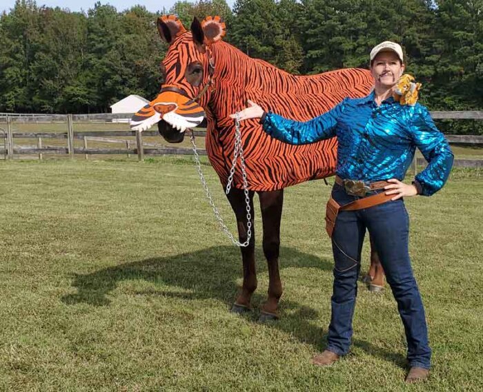 tiger king costume for horse