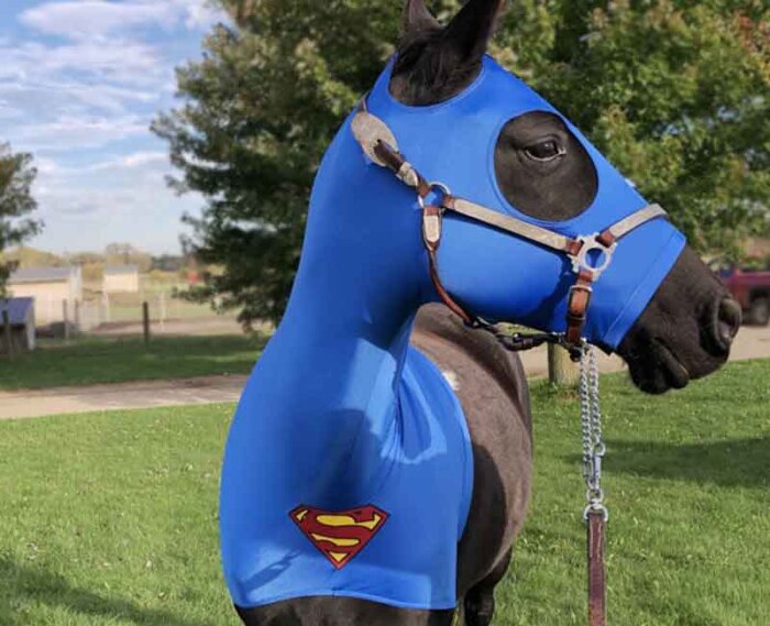Halloween costumes for horses superman