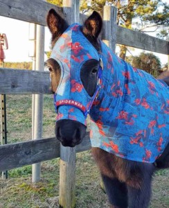 miniature horse wearing a sleazy in Spiderman print