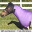 mini horse faceless sleezy