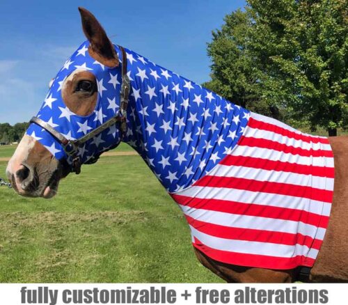 horse costume american flag