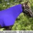 horse faceless or headless sleazy shown in violet