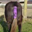horse tail guard