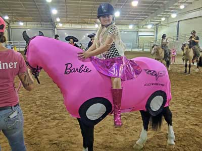 pink Barbie corvette costume for horses