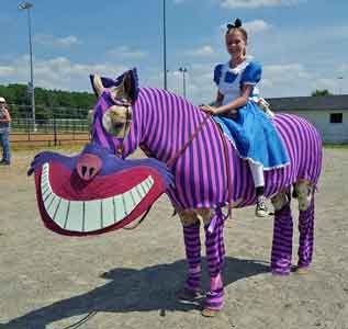 cheshire cate costume for horses