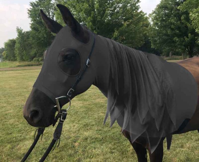 horse cosutme black sleezy with black mesh mane