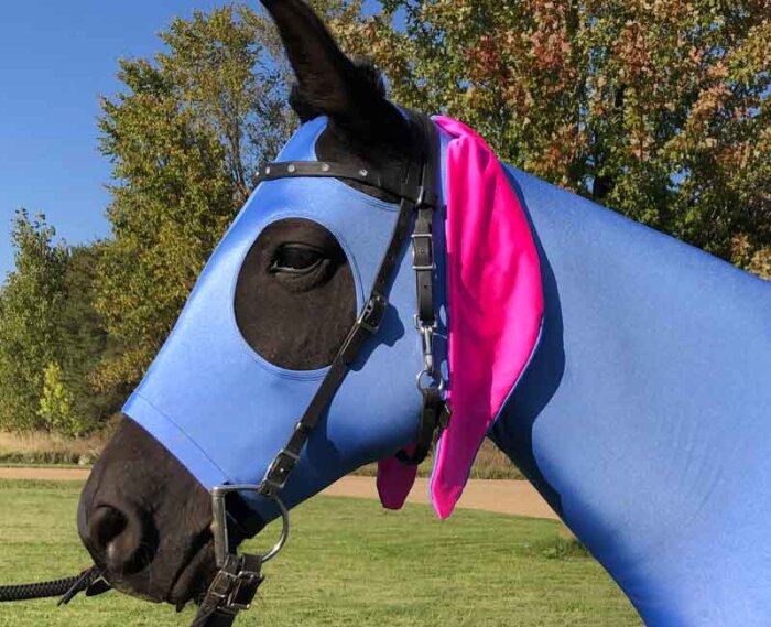eeyore horse costume showing pink underside of ear