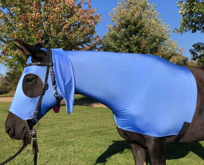 eeyore horse costume side view