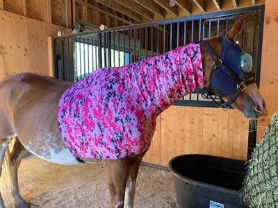 horse wearing a faceless sleazy in digital pink camo