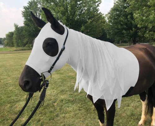 ghost horse costume