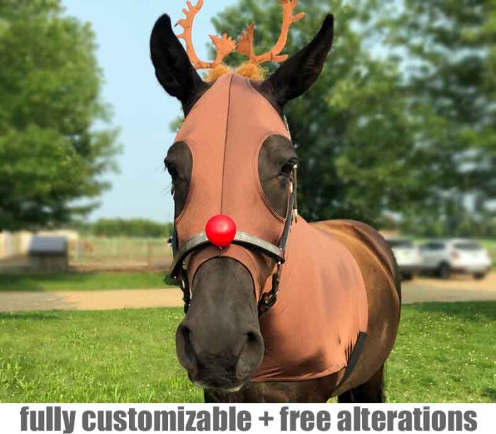horse wearing reindeer costume front view showing red nose and antlers