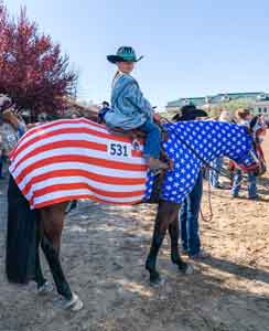 costumes for horses american flag