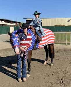 costumes for horses american flag