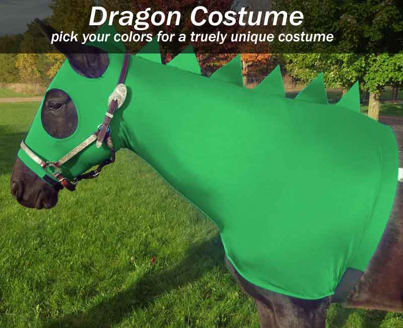 costumes for horses dragon