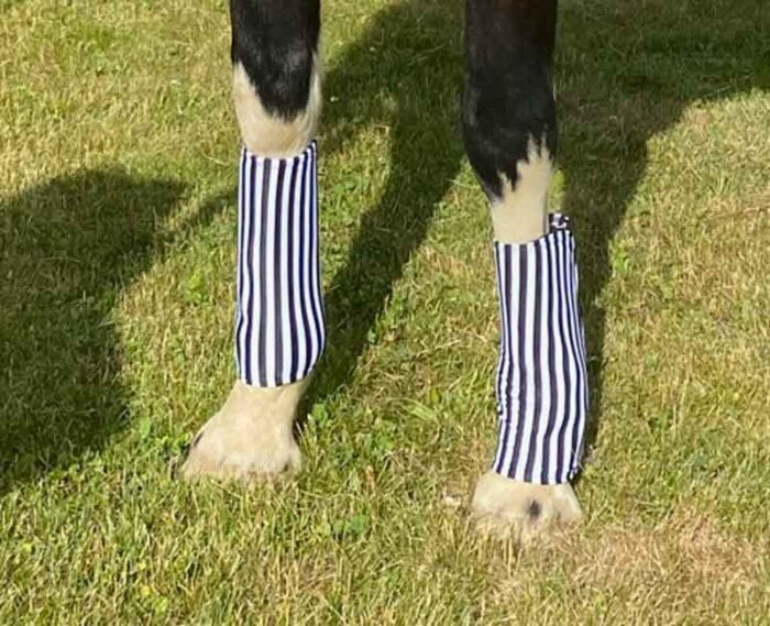 costumes of horses pirate fast polo wraps in black and white stripes
