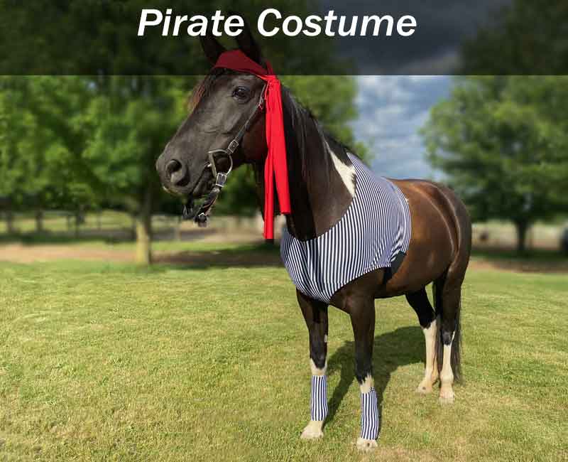 costumes for horses pirate