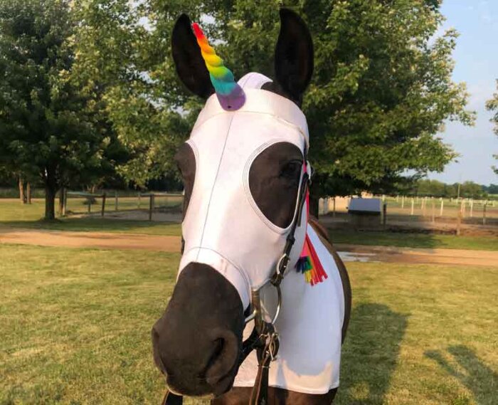 unicorn horse costume
