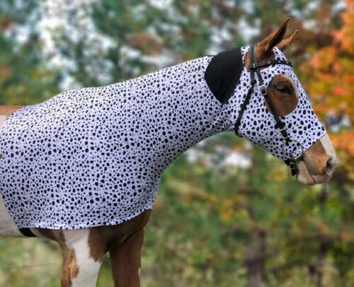 horse costume dalmatian