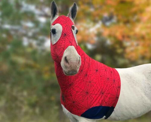 horse costume in red spider web spandex