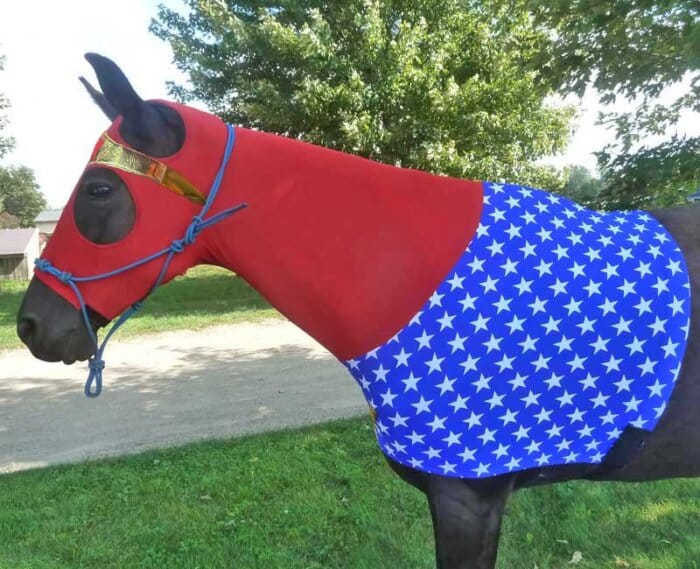 horse costume wonder woman side view