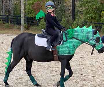 black pony wearing the green dragon costume