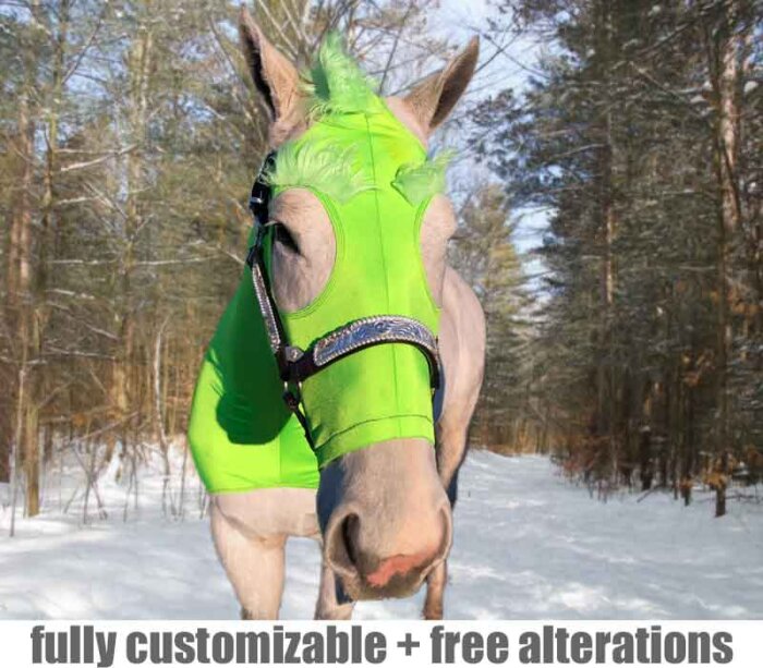grinch horse costume front view