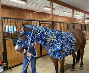 horse sleazy or slinky in shattered blue zebra print