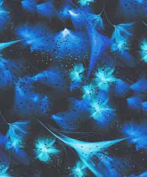 royal and aqua star bursts on a black background