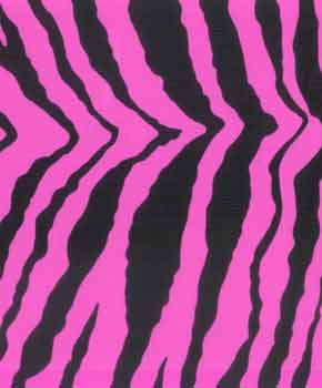 black zebra stripes on a hot pink background spandex