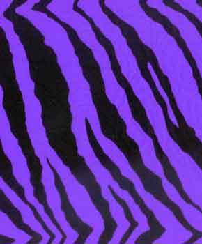 black zebra stripes on purple background spandex
