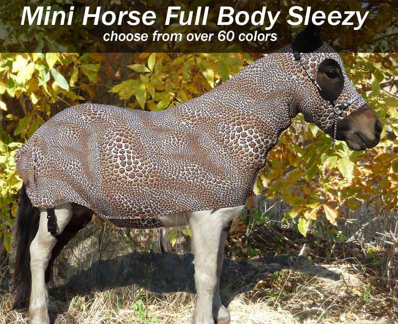 miniature horse full body sleezy