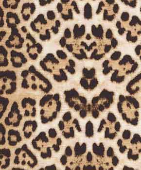 kaleidoscope leopard print