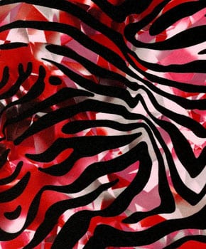 red and silver background with black ecclectic zebra stripes